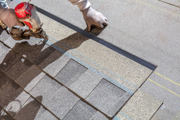 Best Roof Leak Repair  in Shoshone, ID